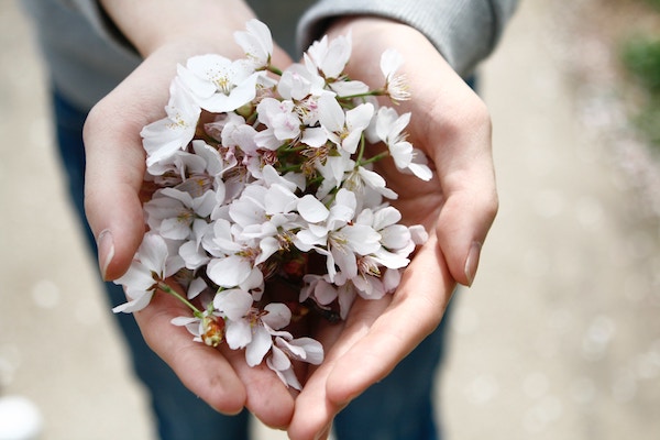 Enneagram-Program-Flowers-Hands